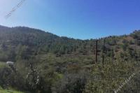 31773 SQM Land in Agios Theodoros Soleas (Nicosia) for sale 