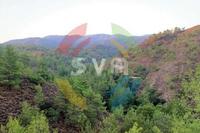 114000 SQM Land in Pano Platres (Limassol) for sale 