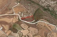 6758 SQM Land · Arodes (Paphos) for sale 