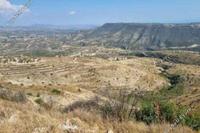 12699 SQM Land · Pachna (Limassol) for sale 