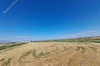 34644 SQM Land in Dali (Nicosia) for sale 