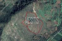27426 SQM Plot in Pigenia (Nicosia) for sale 