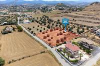 3289 SQM Land · Pera Orinis (Nicosia) for sale 