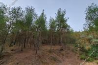 7844 SQM Land in Palaichori Oreinis (Nicosia) for sale 