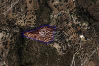 9700 SQM Land in Apesia (Limassol) for sale 