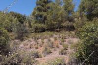 7693 SQM Land in Fterikoudi (Nicosia) for sale 