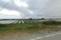 28971 SQM Land in Maroni (Larnaca) for sale 