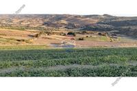 58195 SQM Land in Filousa Chrysoxous (Paphos) for sale 