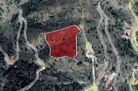 10034 SQM Land in Pedoulas (Nicosia) for sale 