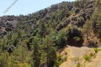 7656 SQM Land in Moutoullas (Nicosia) for sale 