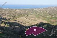 7038 SQM Land in Pigenia (Nicosia) for sale 