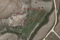 7693 SQM Land in Poli Chrysochous (Paphos) for sale 