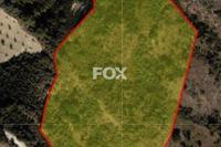 14716 SQM Land in Simou (Paphos) for sale 