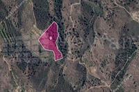 15720 SQM Land · Agios Georgios Kafkallou (Nicosia) for sale 