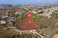 5017 SQM Land · Kathikas (Paphos) for sale 