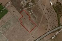 12654 SQM Land in Mazotos (Larnaca) for sale 