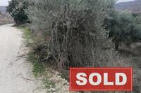 4817 SQM Land in Sarama (Paphos) for sale 