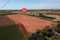 16327 SQM Land in Xylofagou (Larnaca) for sale 