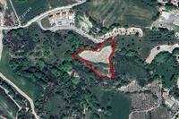 4683 SQM Land · Stroumbi (Paphos) for sale 