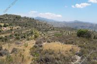 11037 SQM Land · Silikou (Limassol) for sale 