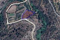 2869 SQM Land in Xyliatos (Nicosia) for sale 