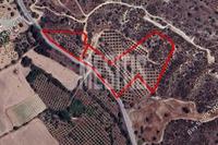18188 SQM Land in Skarinou (Larnaca) for sale 