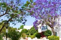 2 Bedroom Apartment in Paphos Municipality (Paphos) for sale 