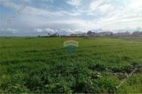 21978 SQM Land in Pervolia (Larnaca) for sale 