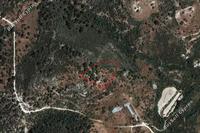 6169 SQM Land · Dora (Limassol) for sale 