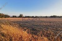 8362 SQM Land in Agios Silas (Limassol) for sale 