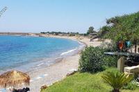 11502 SQM Plot in Timi (Paphos) for sale 