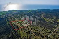 40135 SQM Plot in Pissouri (Limassol) for sale 