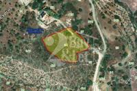 4683 SQM Land in Akrounta (Limassol) for sale 