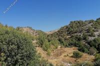 121072 SQM Land in Agios Therapon (Limassol) for sale 