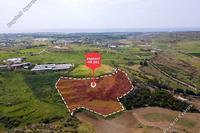 18785 SQM Land · Agia Varvara (Paphos) for sale 