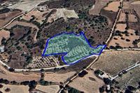 9997 SQM Plot · Fyti (Paphos) for sale 