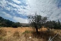 6292 SQM Land · Agios Tychonas (Limassol) for sale 