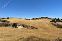 35452 SQM Land in Agios Theodoros Larnacas (Larnaca) for sale 