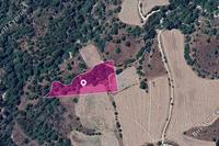 9700 SQM Land in Mousere (Paphos) for sale 