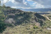 12710 SQM Land · Pachna (Limassol) for sale 