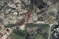 12037 SQM Land · Lofos Tala (Paphos) for sale 