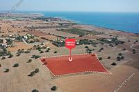 7024 SQM Land in Agios Theodoros Larnacas (Larnaca) for sale 