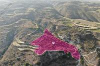 25084 SQM Land in Theletra (Paphos) for sale 