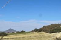 13044 SQM Land in Agios Theodoros Larnacas (Larnaca) for sale 