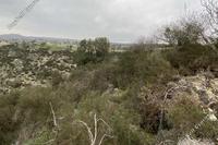 2527 SQM Land · Peyia (Paphos) for sale 