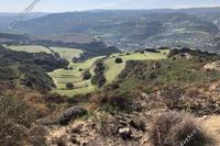 8771 SQM Land in Skoulli (Paphos) for sale 