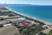 11037 SQM Plot in Argaka (Paphos) for sale 