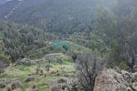 10703 SQM Land in Xyliatos (Nicosia) for sale 