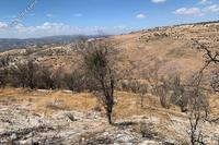 19733 SQM Land · Pentalia (Paphos) for sale 