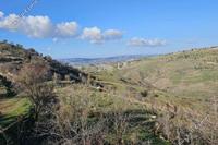 19733 SQM Land · Pentalia (Paphos) for sale 